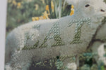 Little Lambs