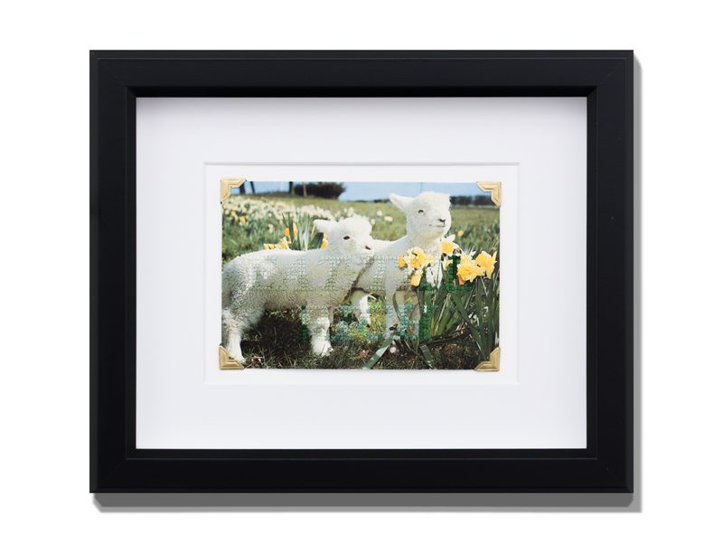 Little Lambs