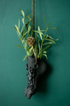 The Long Arm Reaches Out: Hands and Feet Series Matte Black 9