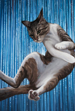 Nine Lives IV