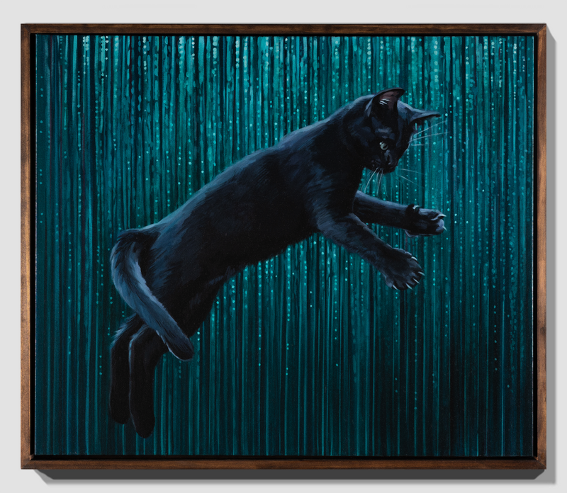 Nine Lives VII