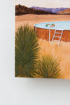 Oasis