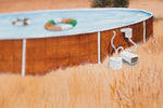 Oasis