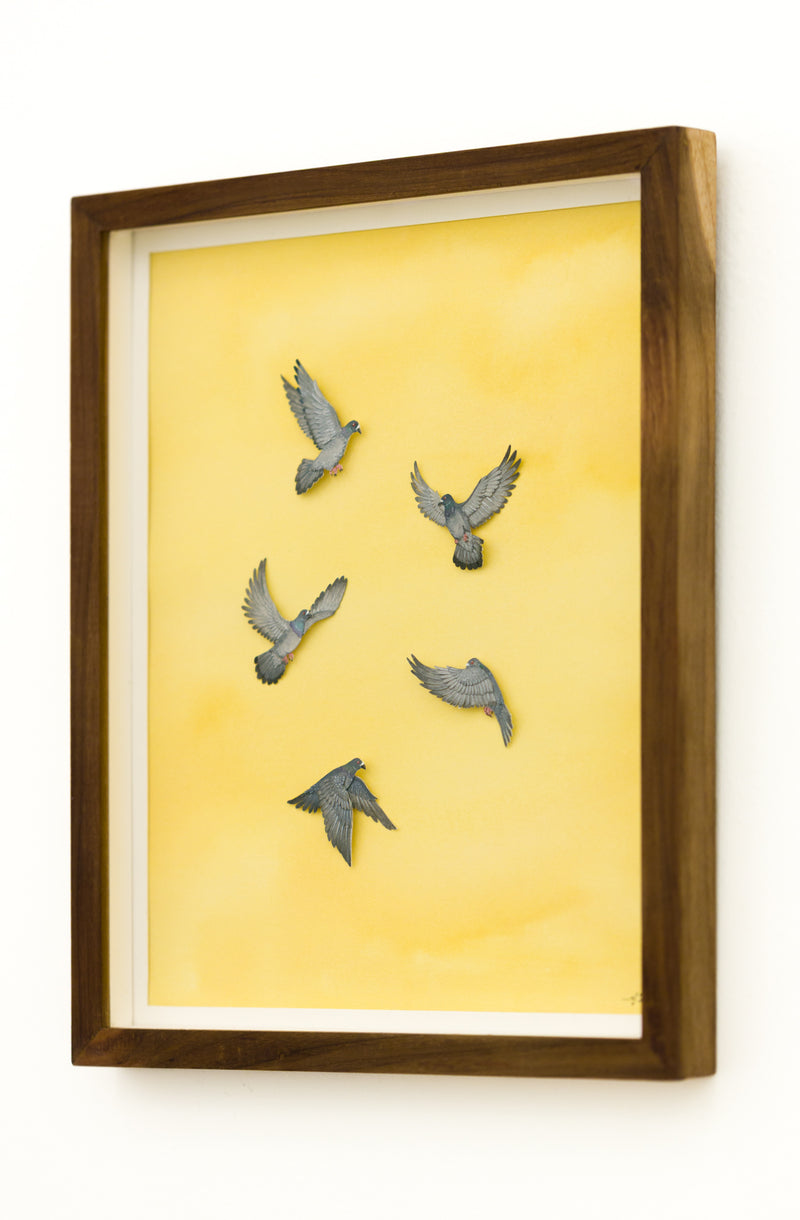 Pigeons