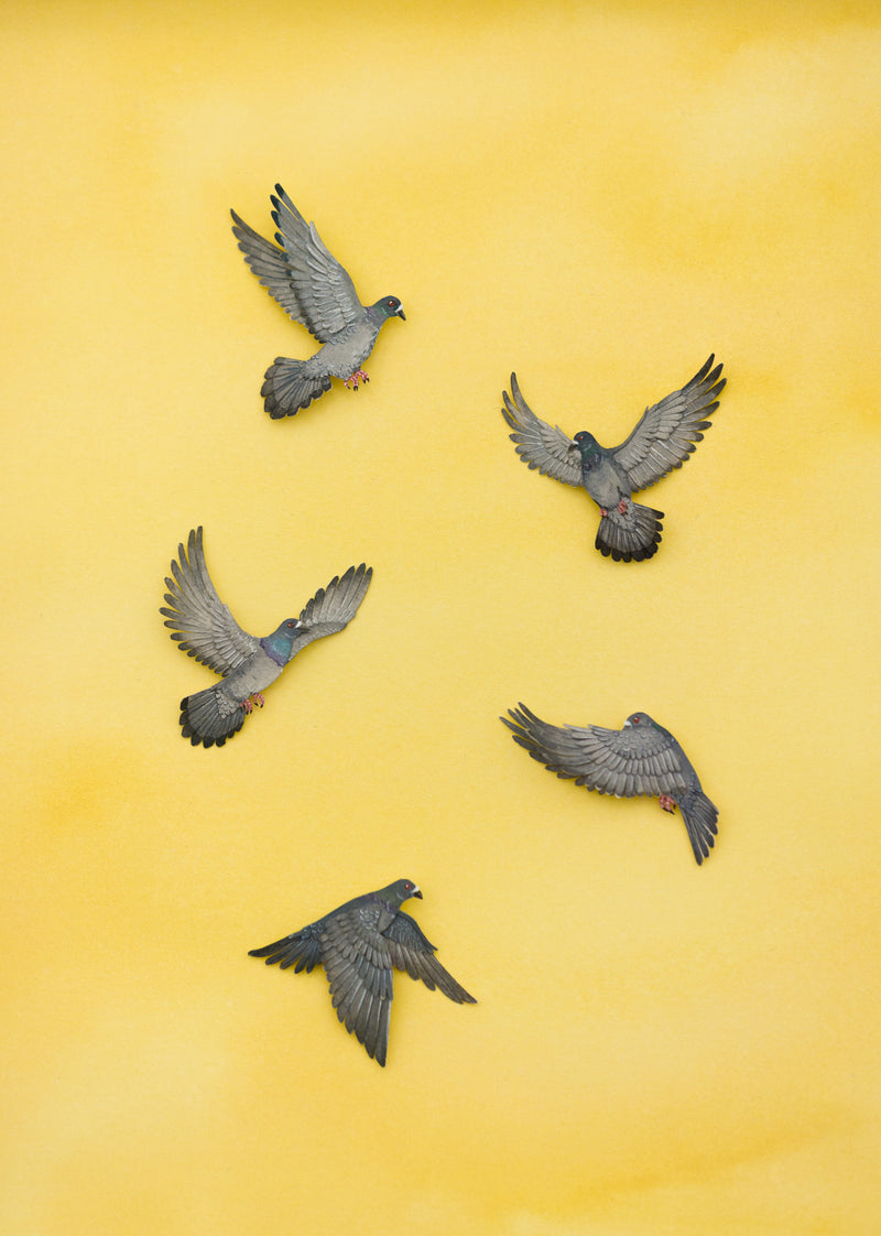 Pigeons