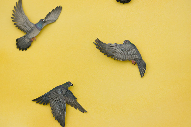 Pigeons