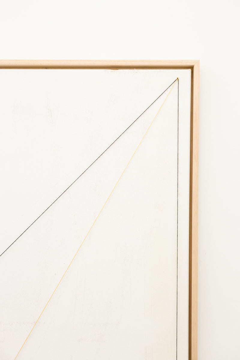 Soft Bends/Tight Crop (Diptych)