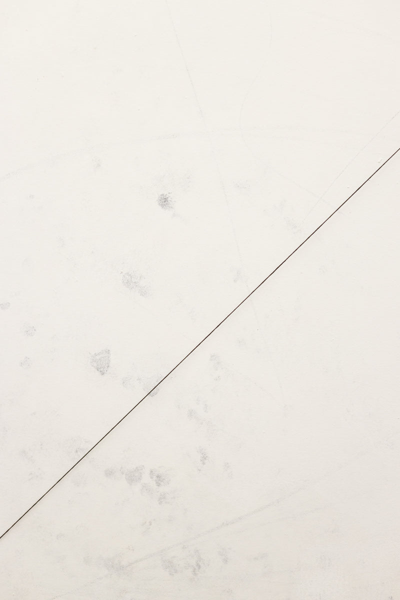 Soft Bends/Tight Crop (Diptych)