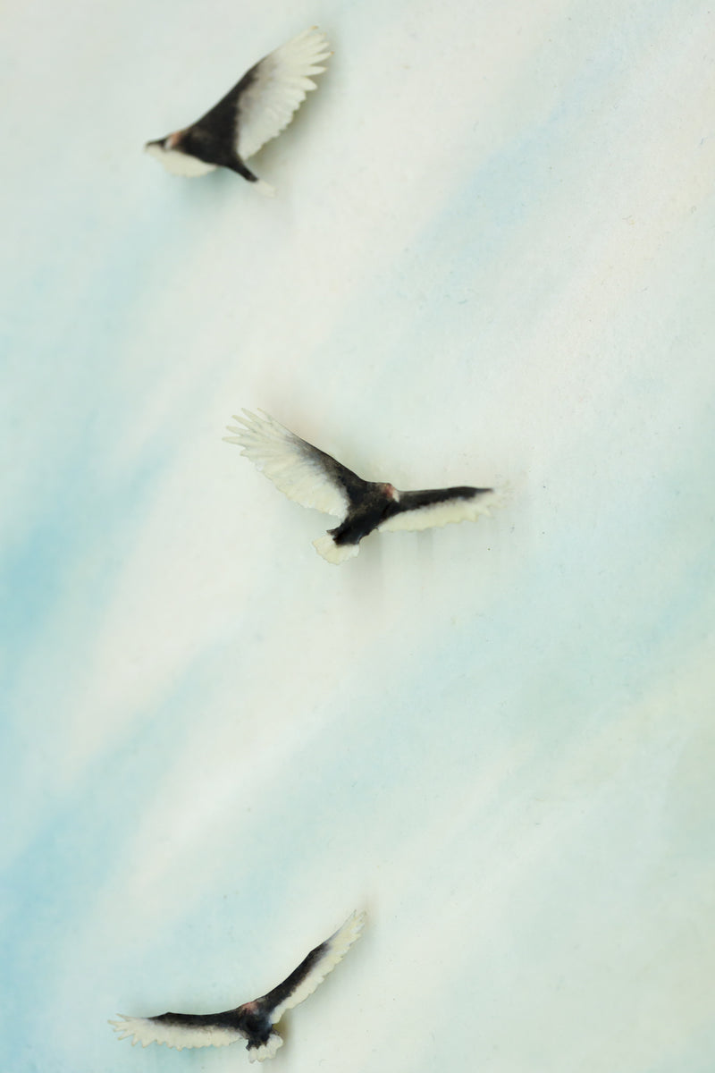 Sentinel 2