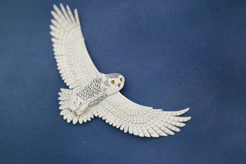 Snowy Owl