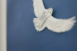Snowy Owl