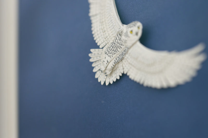 Snowy Owl