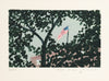 Through The Branches