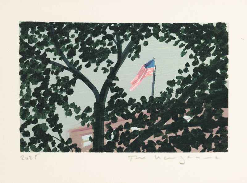 Through The Branches