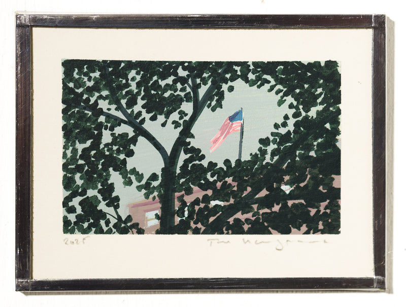 Through The Branches