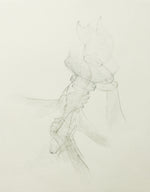 Torch Boceto II ( 1/15 VE)