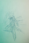 Torch Boceto VIII ( 1/15 VE)