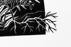 Untitled (Full Moon Botanical)
