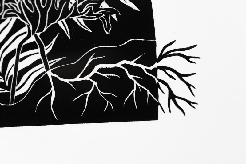 Untitled (Full Moon Botanical)