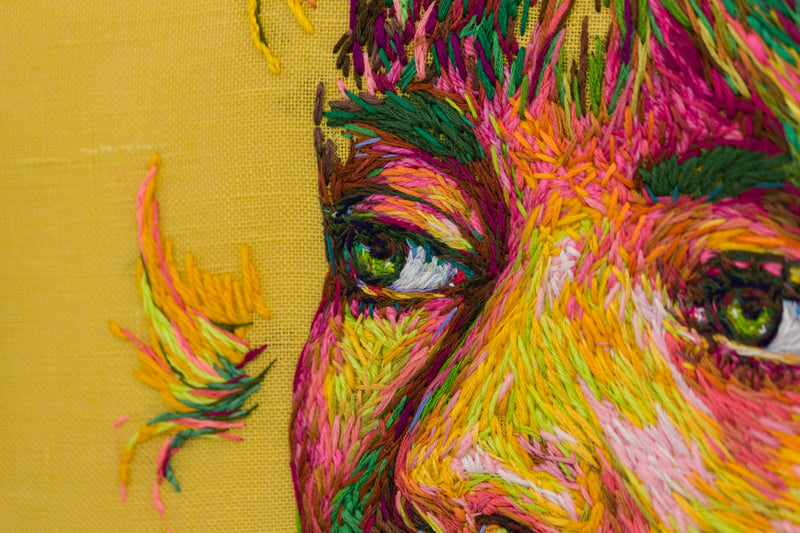 Dyed in the Wool