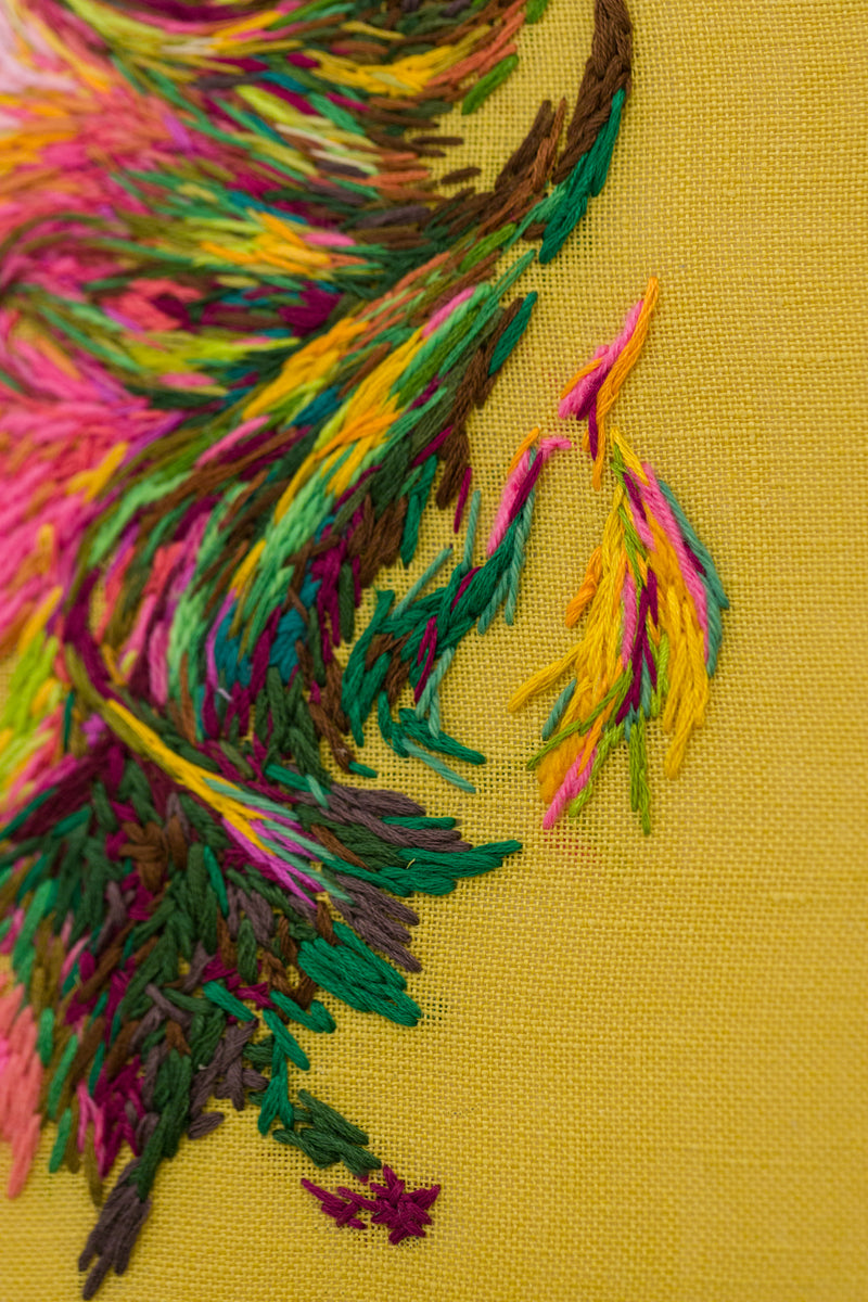 Dyed in the Wool