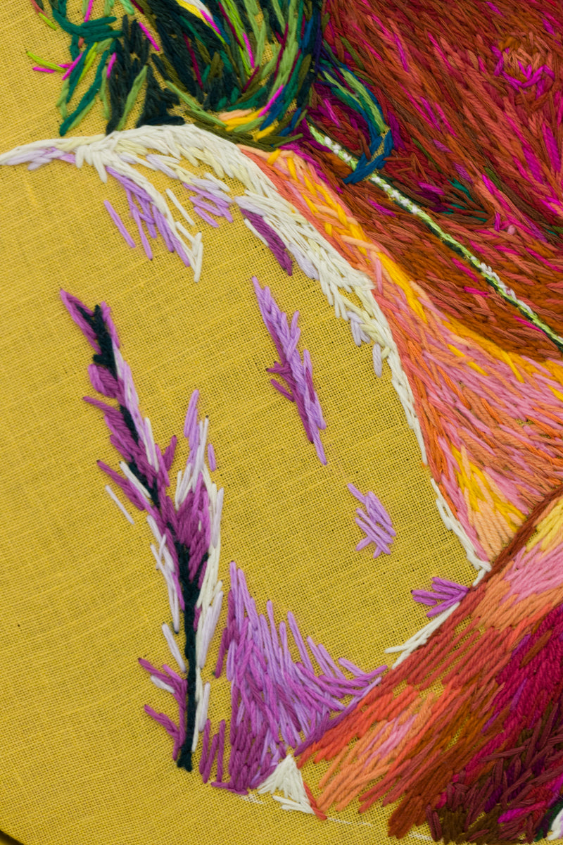 The Yarn We Spin