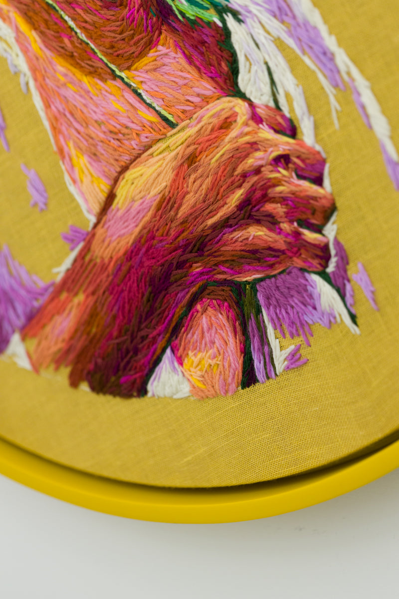 The Yarn We Spin