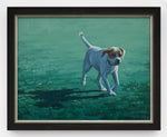 Dog Days