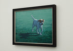 Dog Days