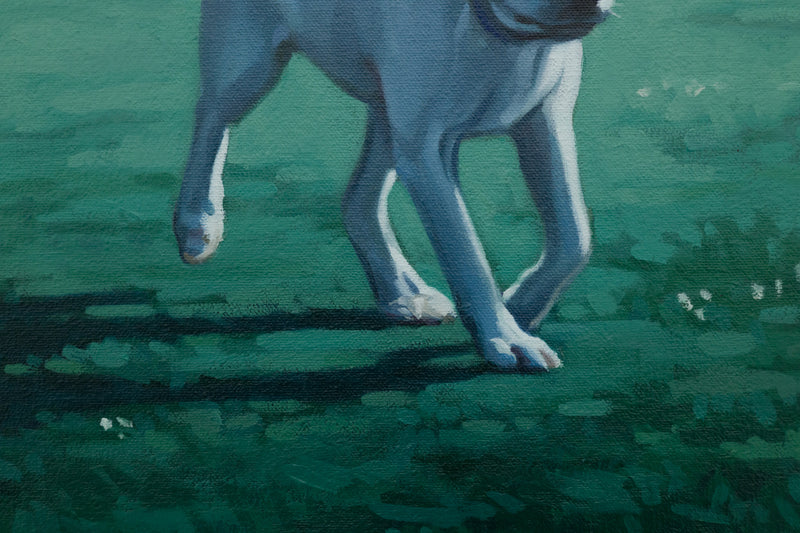 Dog Days