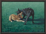 Tussle
