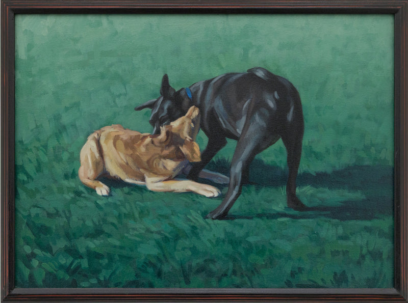 Tussle