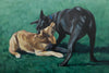 Tussle