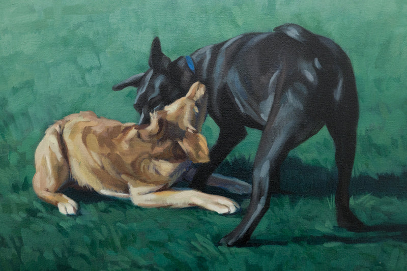 Tussle