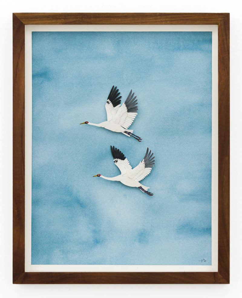 Whooping Cranes