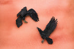 Ravens
