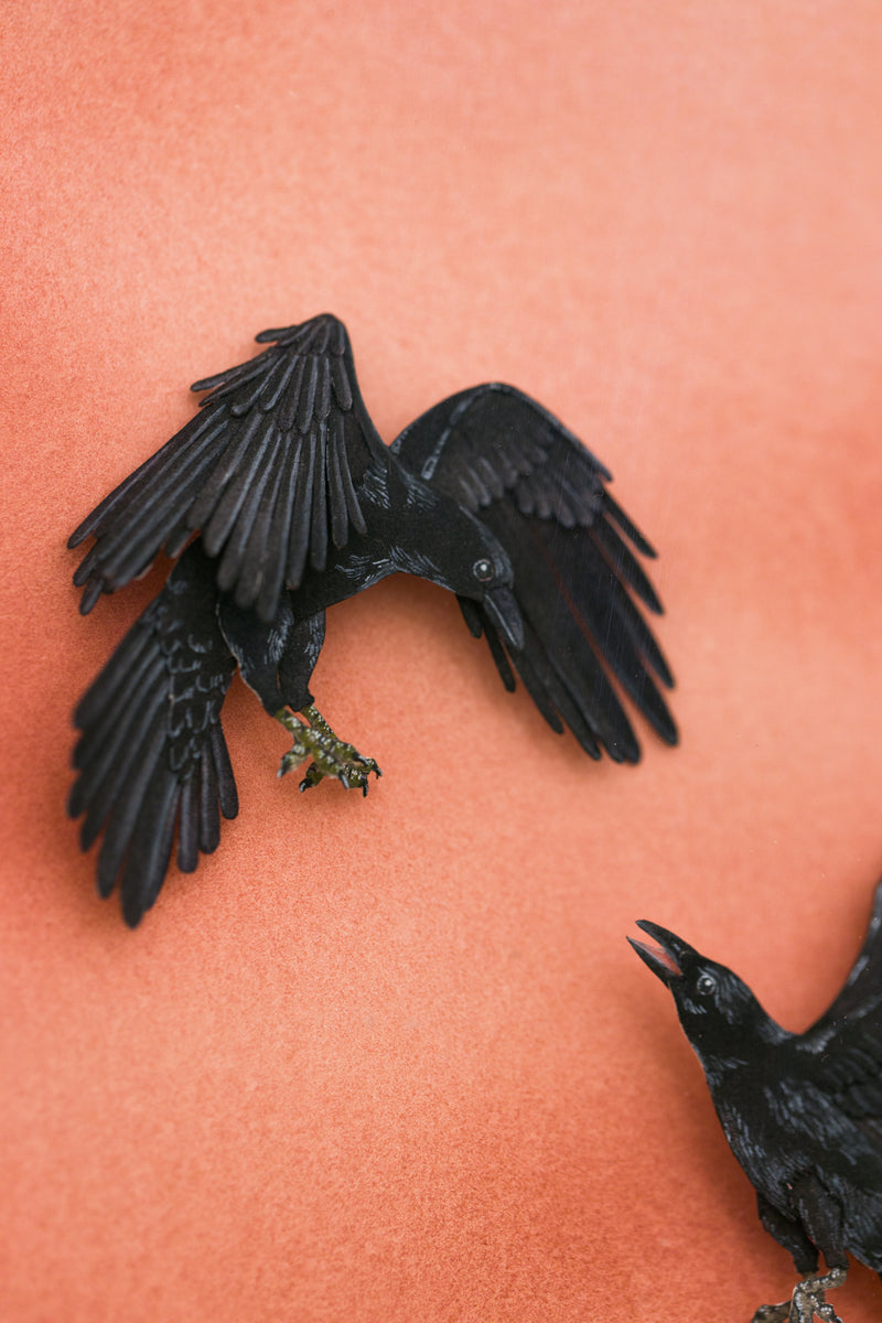 Ravens