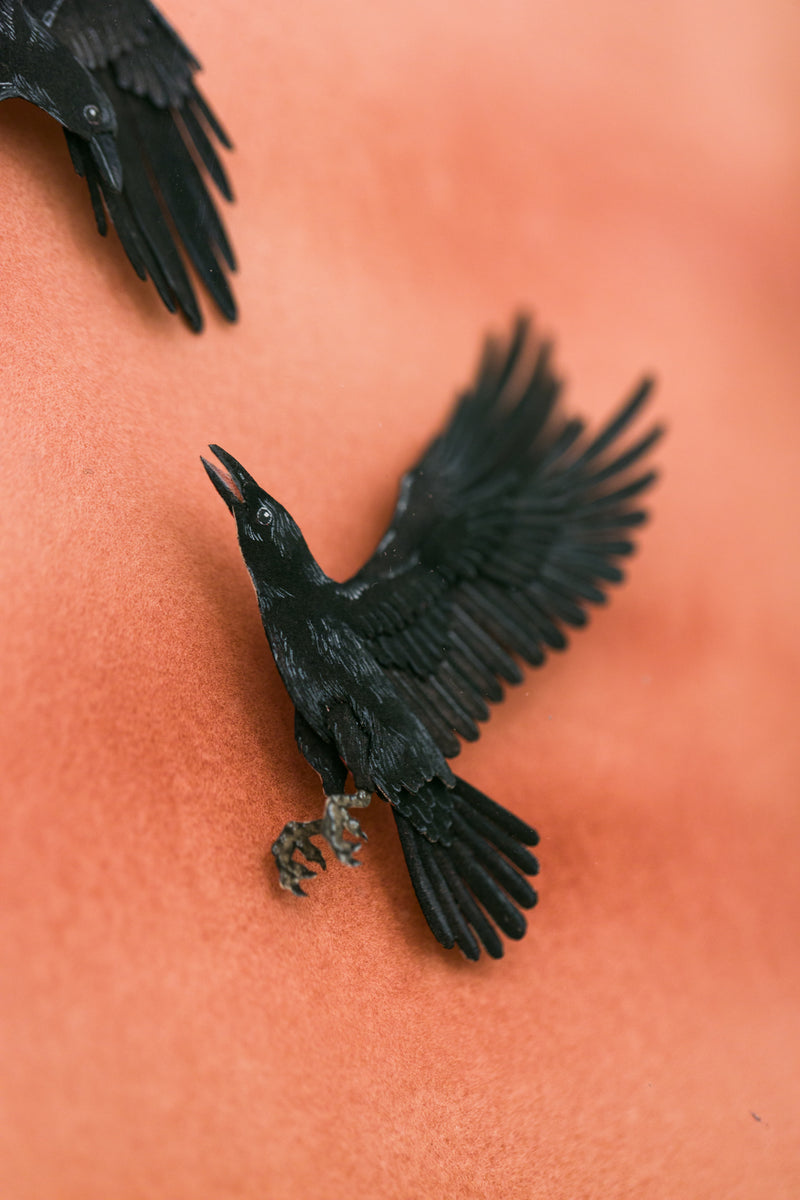 Ravens