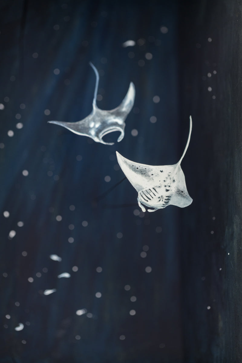 So Below (Manta Rays)