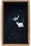 So Below (Manta Rays)
