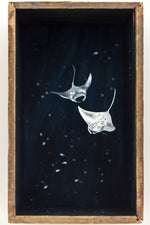 So Below (Manta Rays)