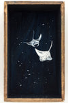 So Below (Manta Rays)