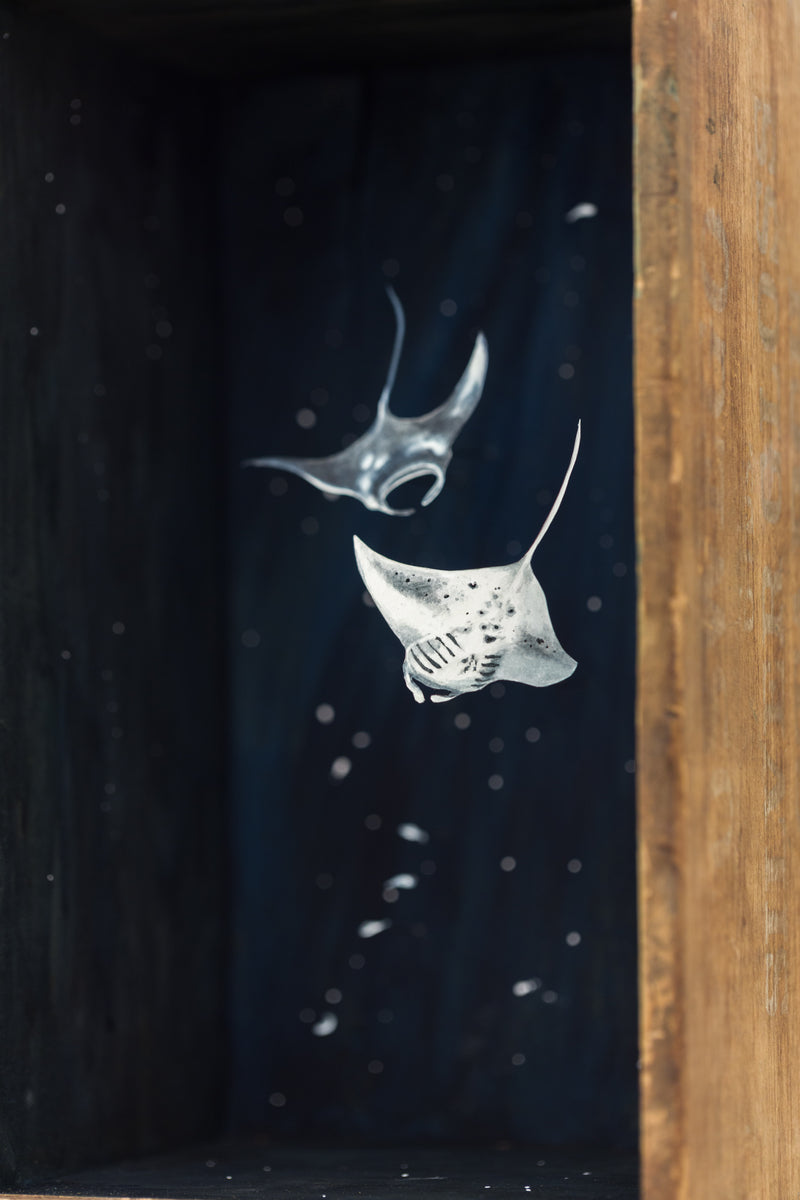 So Below (Manta Rays)