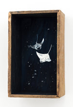 So Below (Manta Rays)