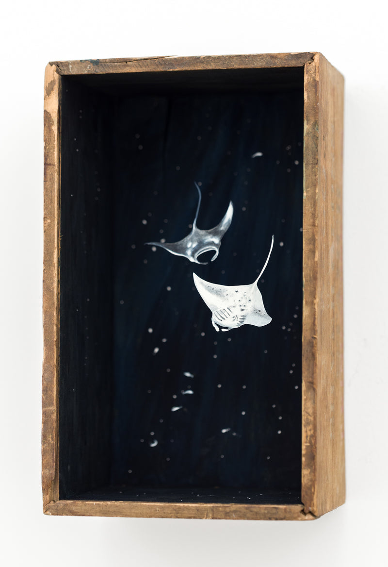 So Below (Manta Rays)