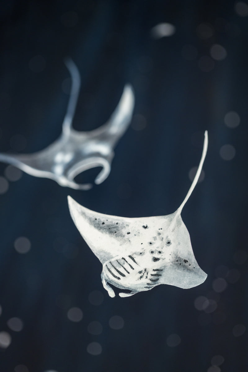 So Below (Manta Rays)