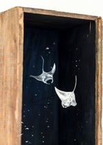 So Below (Manta Rays)