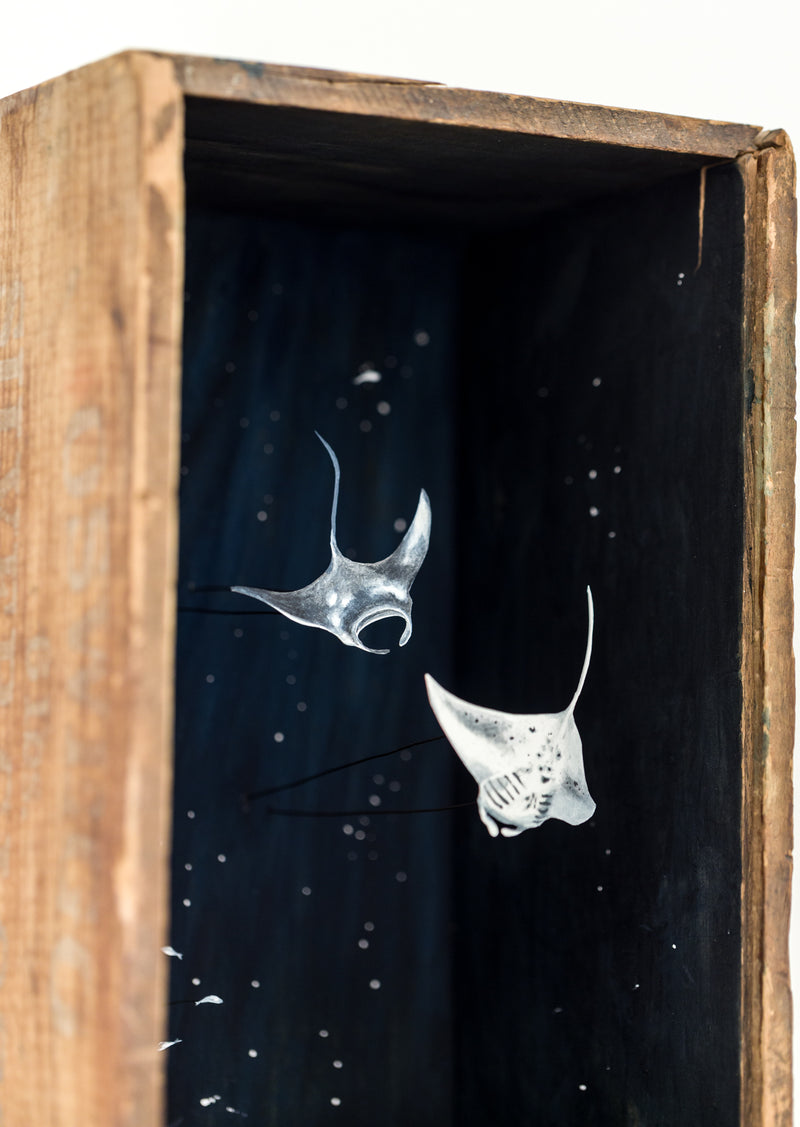 So Below (Manta Rays)