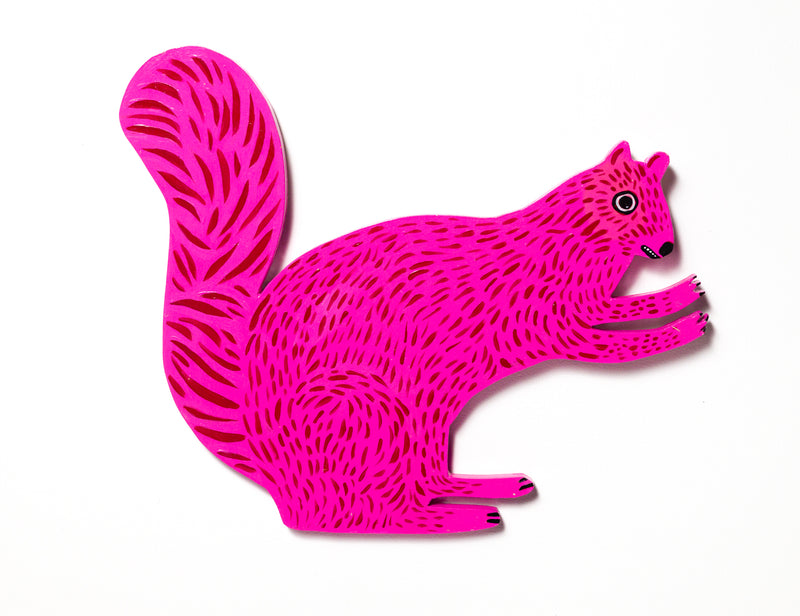 squirrel