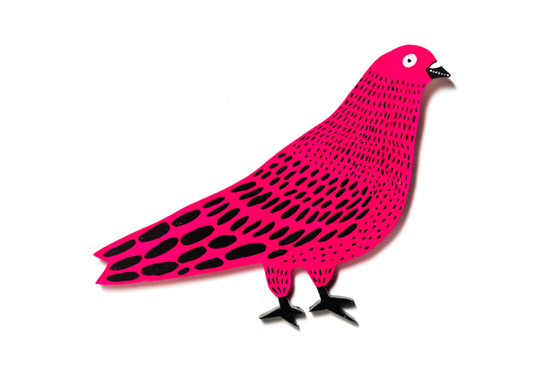 pigeon